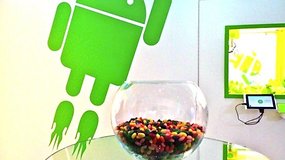 Mise à jour Jelly Bean : l'aura-t-on un jour ?