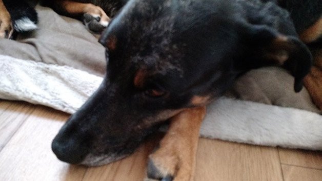Moto X 2014 Camera Sample