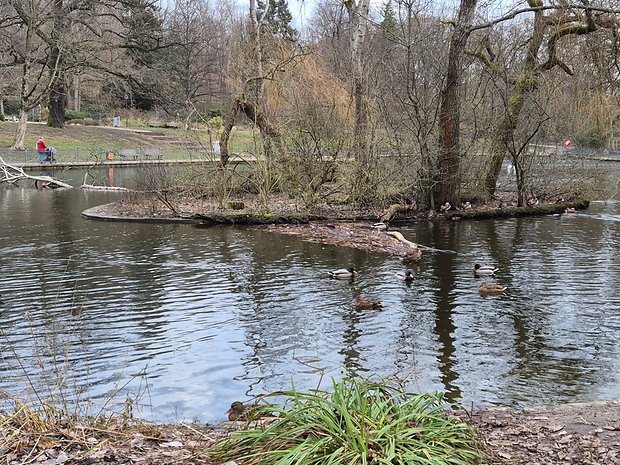 Testfotos erstellt mit der Kamera des Samsung Galaxy S24