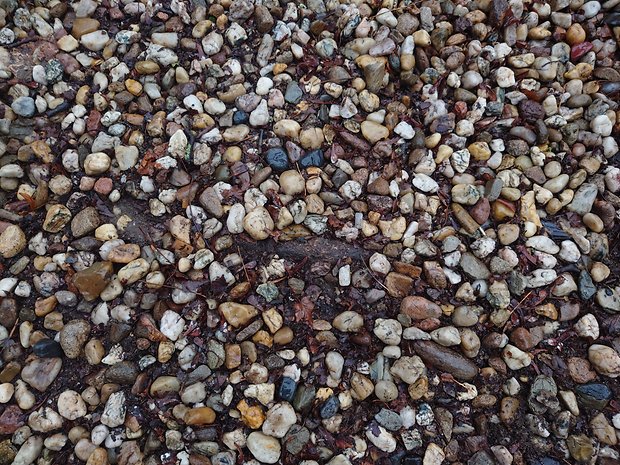 sony-xperia-5-iv-test-photo