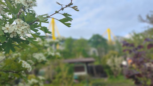 Poco M5 Pro Beispiel-Foto