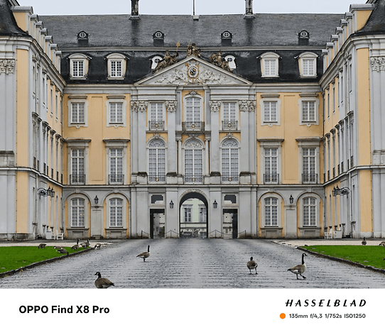 Un grand bâtiment avec une architecture jaune et blanche, avec un chemin et des oies devant. OPPO Find X8 Pro.
