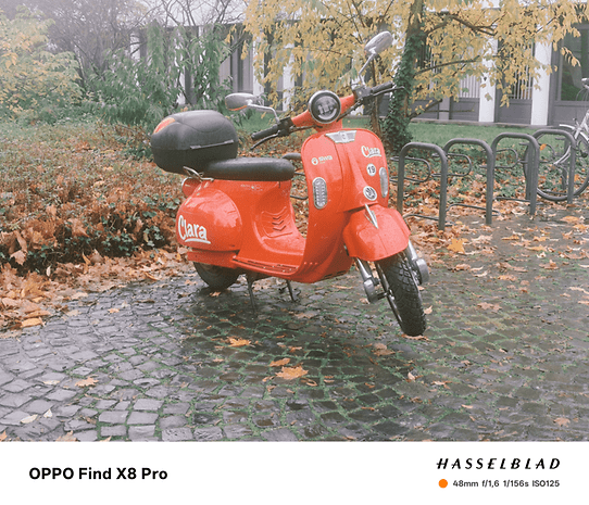 Un scooter rouge garé sur un chemin pavé entouré de feuilles d'automne.