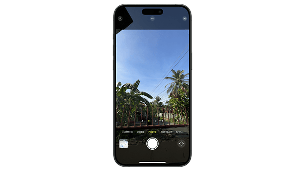 iPhone-Kameraoberfläche zeigt einen Blick auf Palmen und einen klaren blauen Himmel.