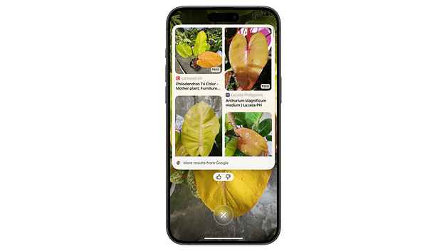 Ein Smartphone zeigt verschiedene Pflanzenbilder und Informationen auf grünem Hintergrund.