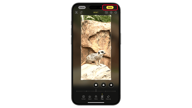 Eine Foto-Bearbeitungsoberfläche auf einem iPhone, die ein Bild eines Erdmännchens mit hervorgehobenem 'Fertig'-Button zeigt.